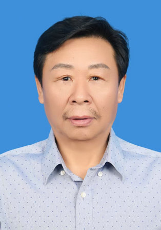沙守江 执行会长